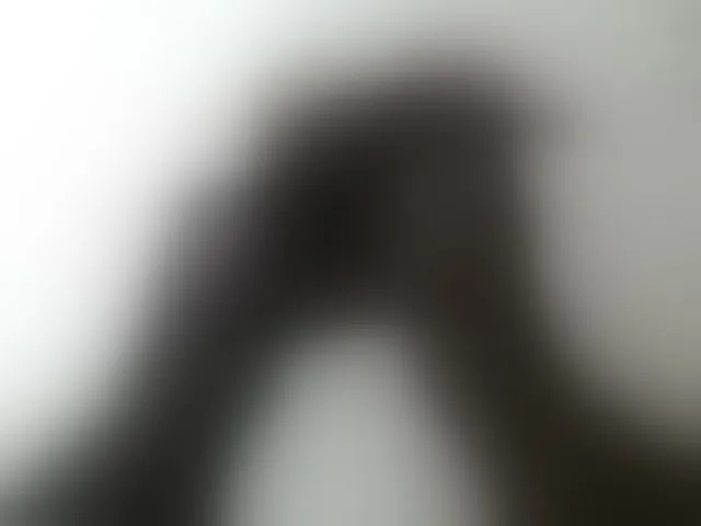 Live sex webcam photo for millagrass #270421936