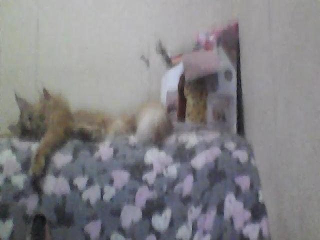 Live sex webcam photo for GuiltyKitty #270533237