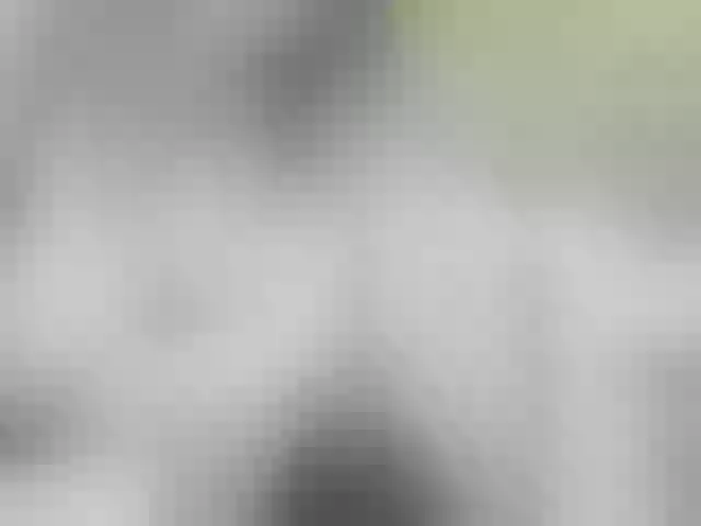 Live sex webcam photo for Vlad-Vlada #270673296