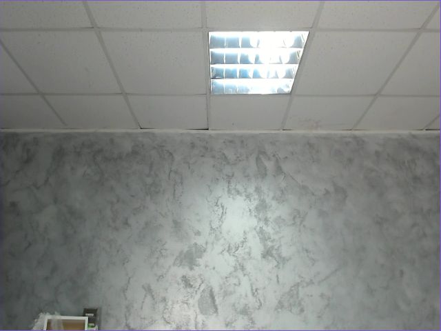 Live sex webcam photo for KendallDark #270641847