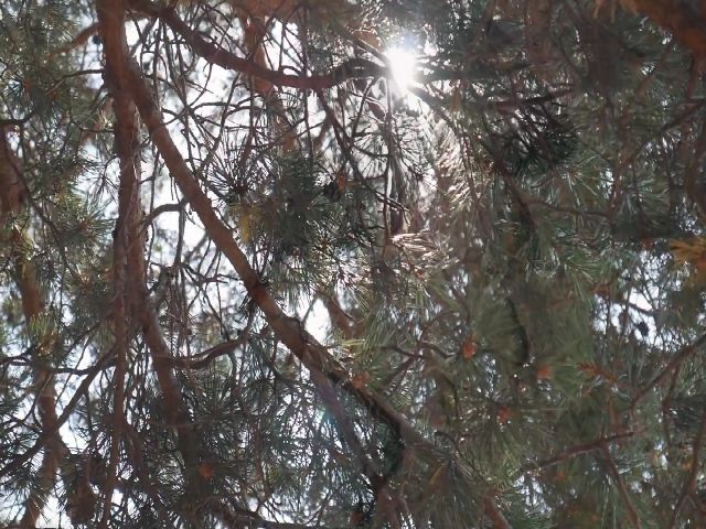 Live sex webcam photo for aalicebalij #270797857