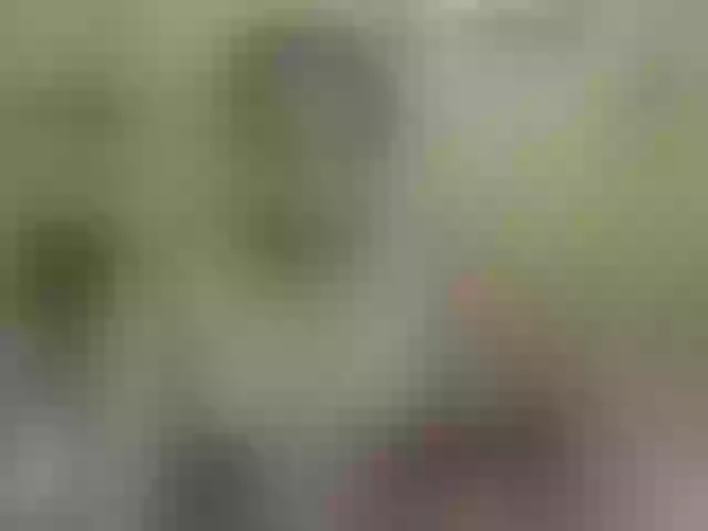 Live sex webcam photo for ebonycristal #270815933