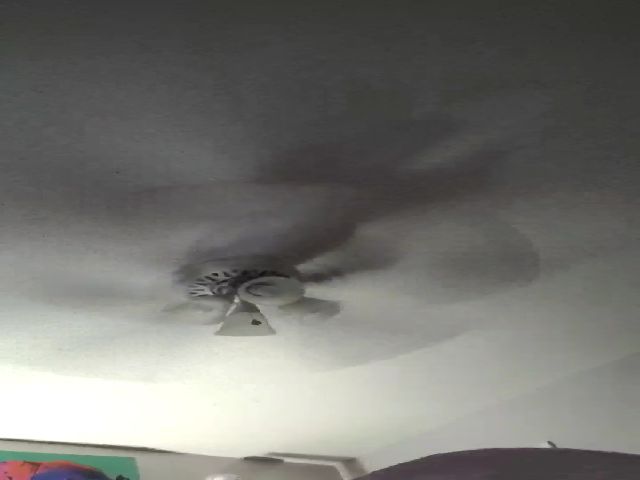 Live sex webcam photo for SweetNSouthrn #270812216