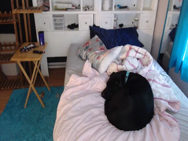 Live sex webcam photo for SweetNSouthrn #270819088