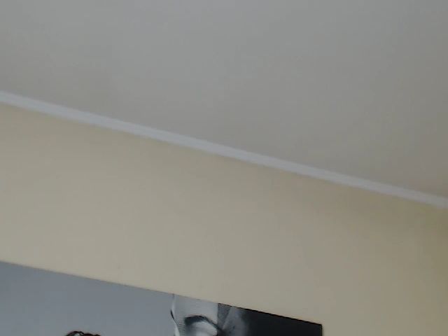 Live sex webcam photo for Kendraross #270828032