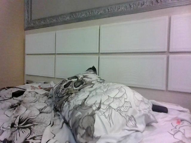 Live sex webcam photo for Xena_New #270816668