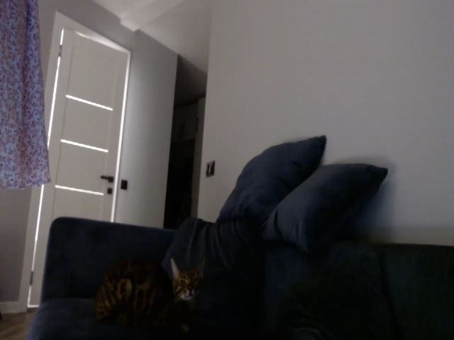 Live sex webcam photo for Babyoda33 #270812131