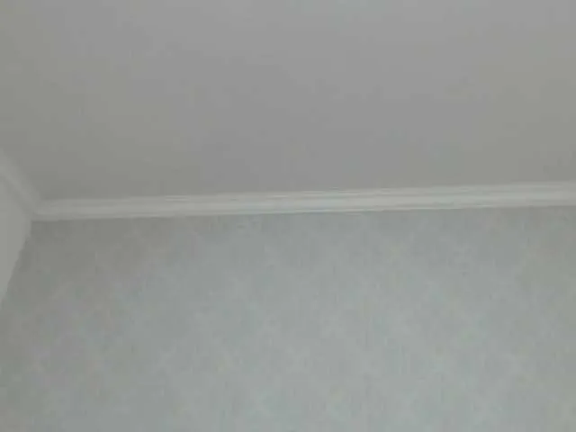 Live sex webcam photo for SharlotCarla #270810542
