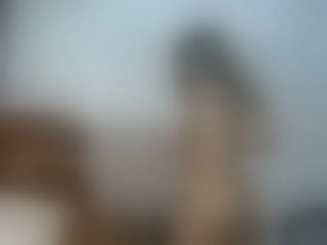 Live sex webcam photo for Paulett #270828647