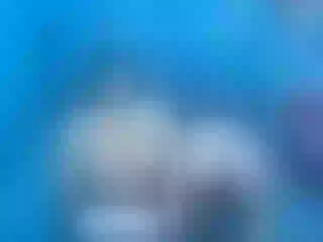 Live sex webcam photo for lindaXhelen #270842422