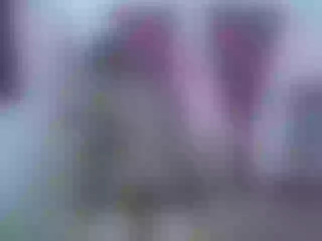 Live sex webcam photo for GoldGroupXXX #270833442