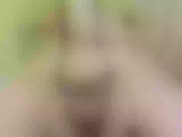 Live sex webcam photo for SwweetAngel #270833966