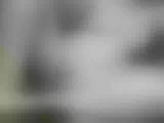 Live sex webcam photo for Sexi45 #270856049