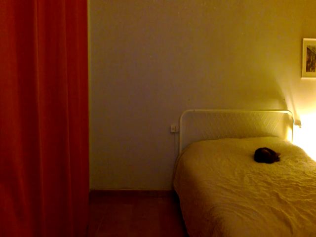 Live sex webcam photo for HappyAlise #270864803