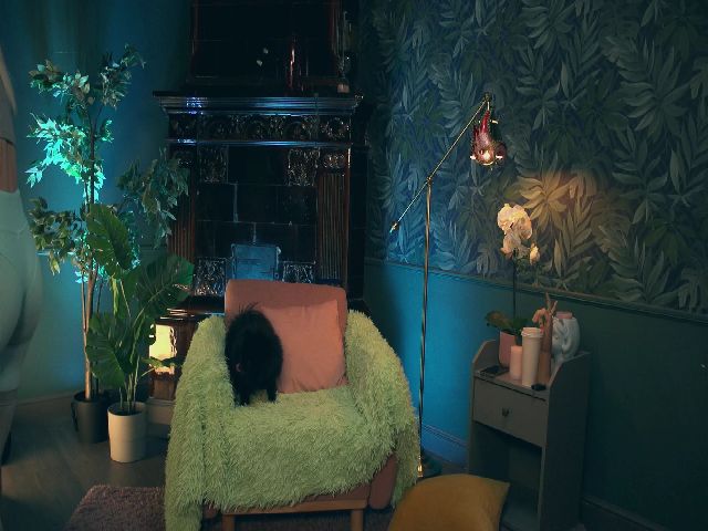 Live sex webcam photo for BellaTesfaye #270851445