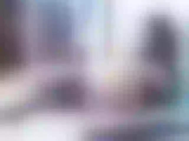 Live sex webcam photo for Vikibru #270865855