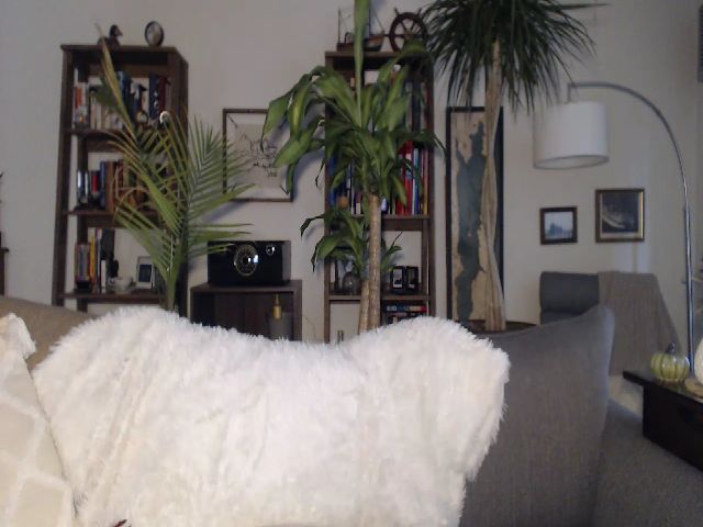 Live sex webcam photo for MsGrayson #270878003