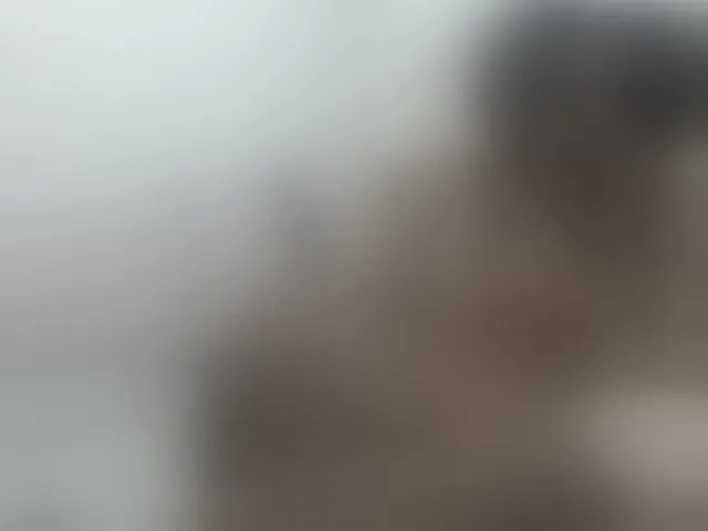 Live sex webcam photo for blackpearl51 #270879375