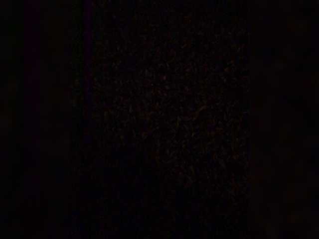 Live sex webcam photo for kiriltafrov #270879721