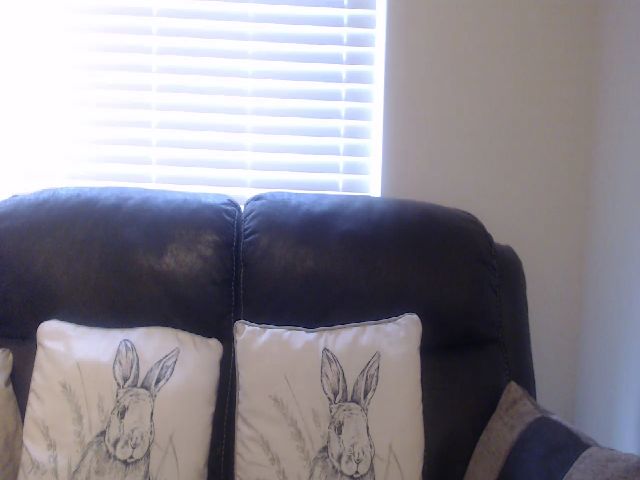 Live sex webcam photo for MilenaDivine #270888801