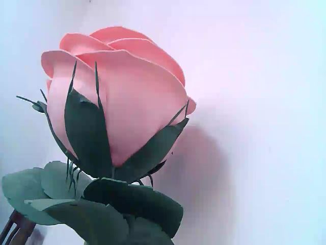 Live sex webcam photo for Rid_mina #270889196