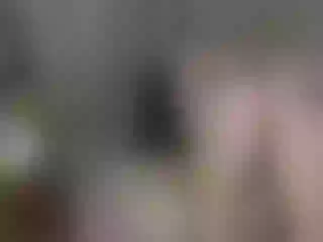 Live sex webcam photo for Robin-02 #270882736