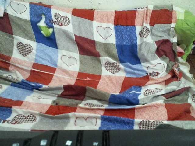 Live sex webcam photo for calinalove #270887180