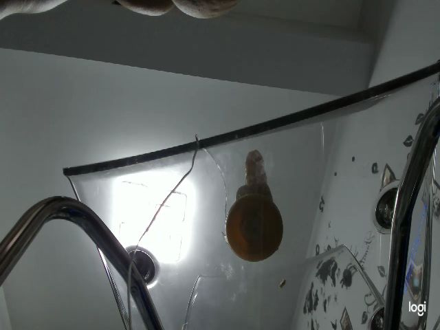 Live sex webcam photo for OneLife_ #270910958