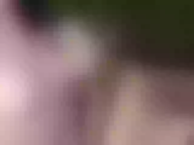 Live sex webcam photo for HydeChrystele #270896799