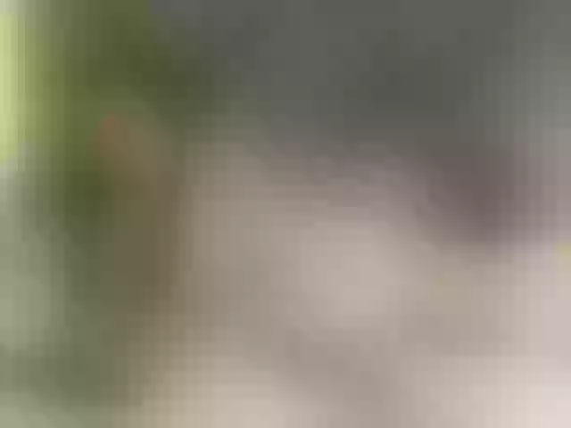 Live sex webcam photo for MelanyRay #270900036