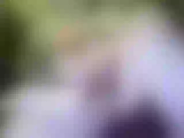 Live sex webcam photo for marusa0 #270924427