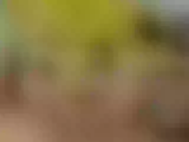 Live sex webcam photo for catalinadevil #270912584