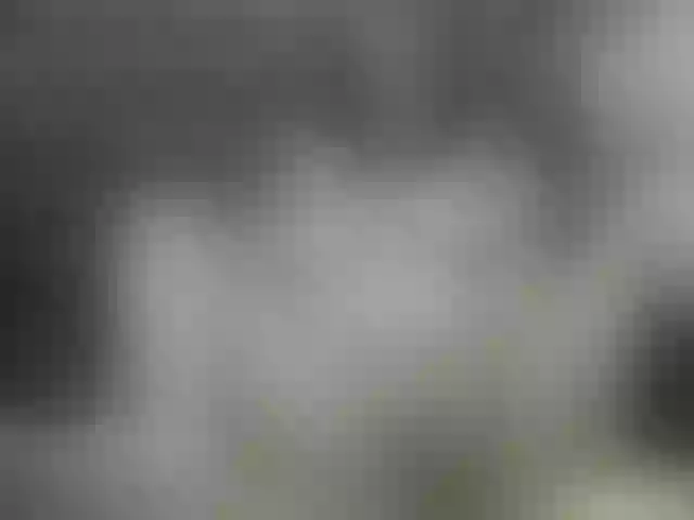 Live sex webcam photo for Madan-laren #270919877