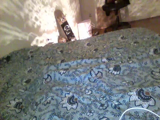 Live sex webcam photo for Divineah #270927434