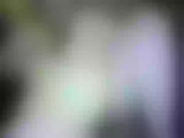 Live sex webcam photo for marusa0 #270938277