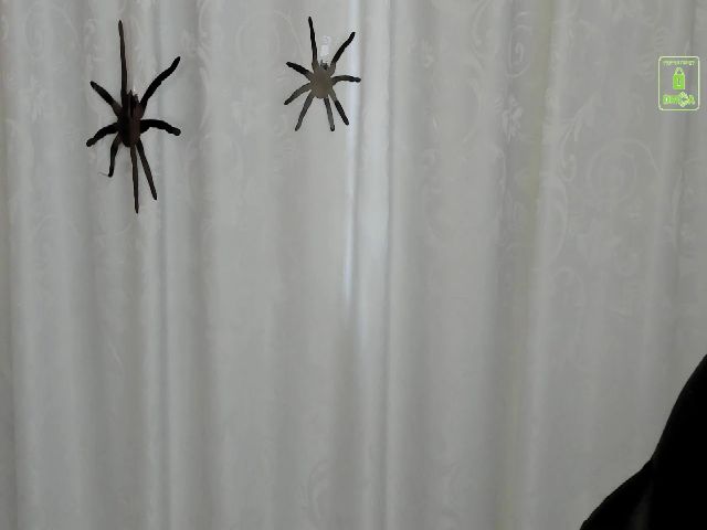 Live sex webcam photo for Anna_cooper #270946363