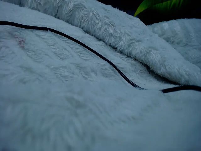 Live sex webcam photo for LaurenLovelly #270932034