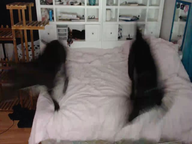 Live sex webcam photo for SweetNSouthrn #270947346