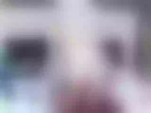 Live sex webcam photo for AnastasiaDeep #270961686