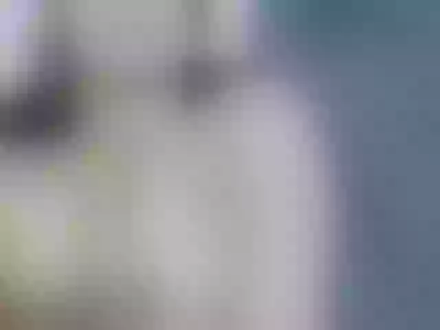 Live sex webcam photo for MollyRick #270948760
