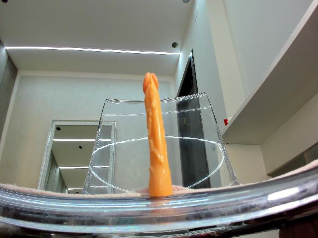 Live sex webcam photo for SonyaHailey #270955417