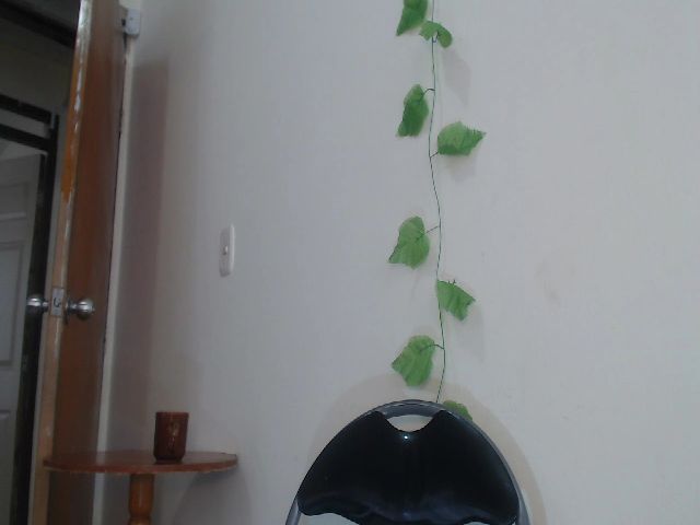 Live sex webcam photo for AnnyBotero #270958890