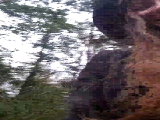 Live sex webcam photo for GirlOffGrid #270965260