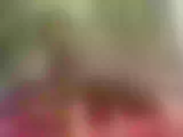 Live sex webcam photo for Ailyn-Smith #270957277