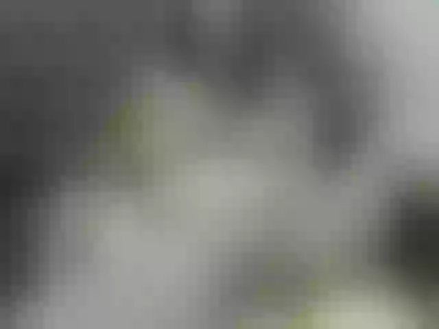 Live sex webcam photo for Madan-laren #270957572