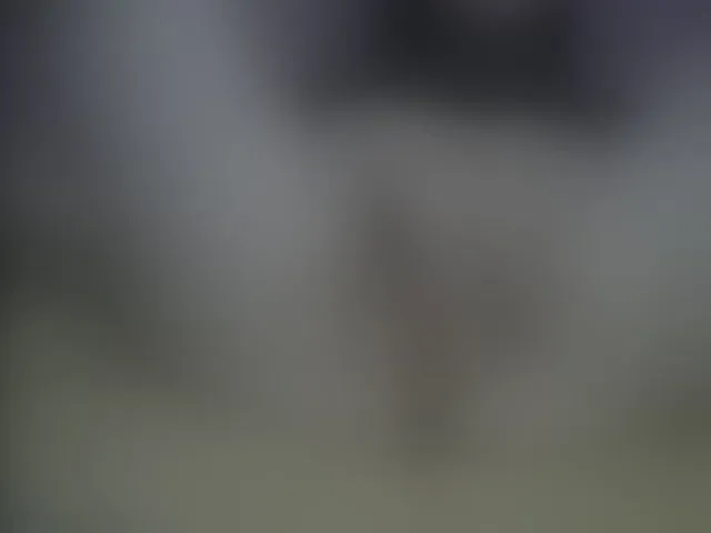 Live sex webcam photo for GilmoreLaeq #270979618