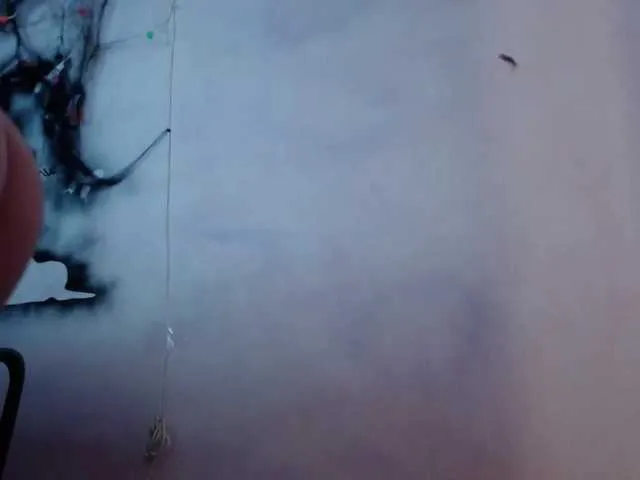 Live sex webcam photo for lirioR #270972119