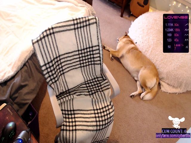 Live sex webcam photo for CyberTits #270979818