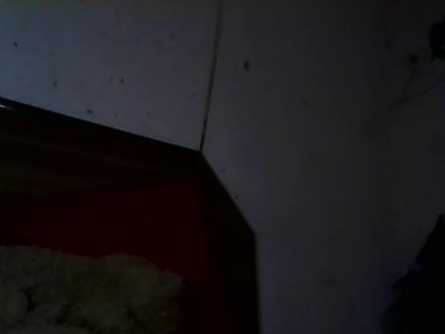 Live sex webcam photo for ebonyslut95 #270982771