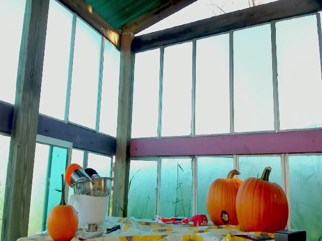 Live sex webcam photo for NaomiDee #270983867